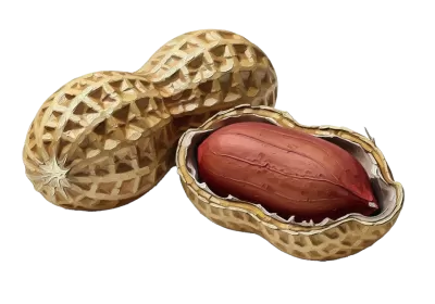 Imagen PNG para descargar